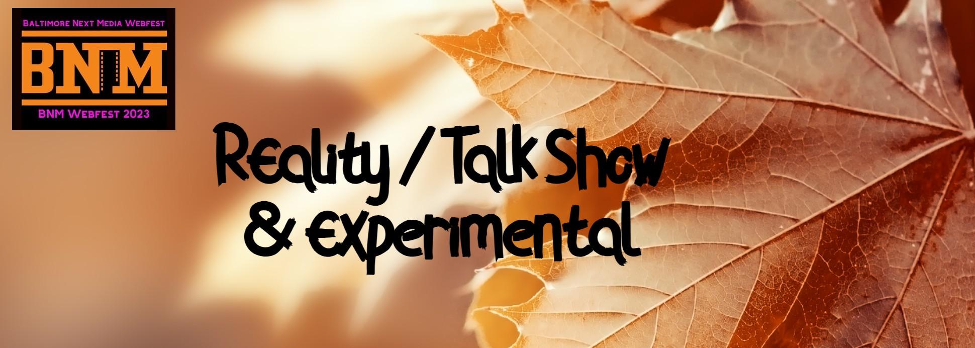 Virtual:  Reality, Talk Shows and Experimtenal