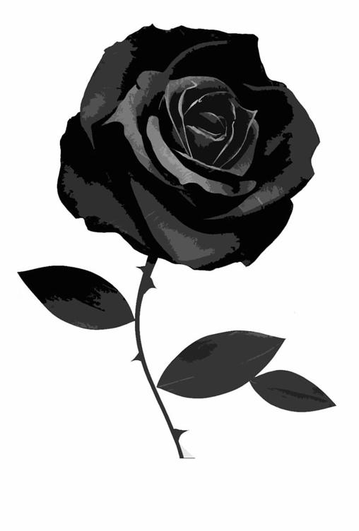 BLACK ROSE