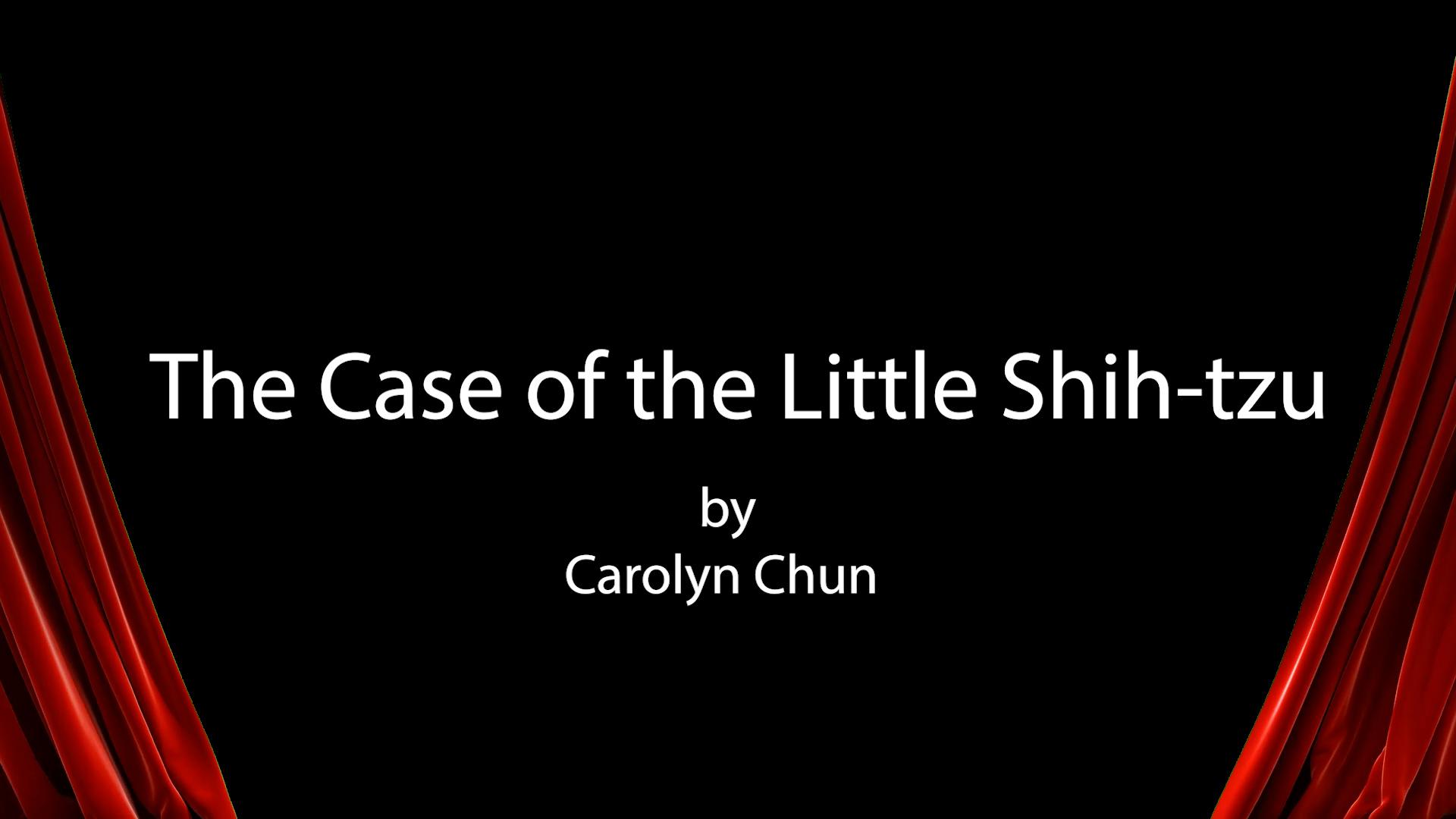 The Case of the Little Shih-tzu