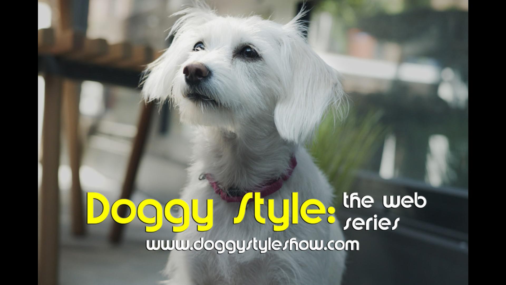 Doggy Style-The Web Series: "Dog Interrupted"
